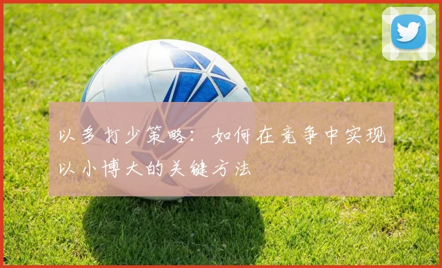 以多打少策略:如何在竞争中实现以小博大的关键方法